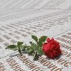 U subotu, 11. srpnja, Dan žalosti u FBiH